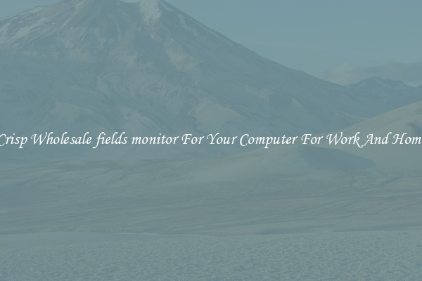 Crisp Wholesale fields monitor For Your Computer For Work And Home