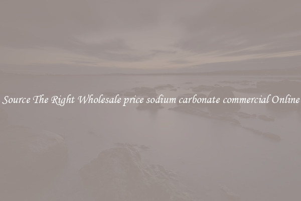 Source The Right Wholesale price sodium carbonate commercial Online