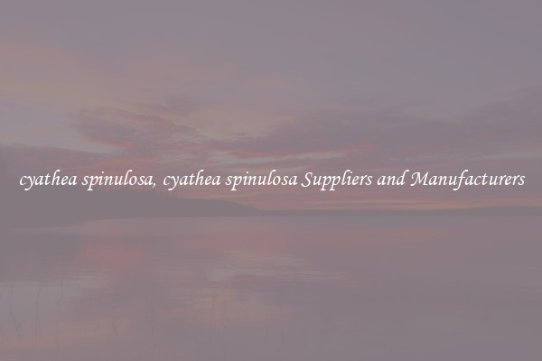 cyathea spinulosa, cyathea spinulosa Suppliers and Manufacturers