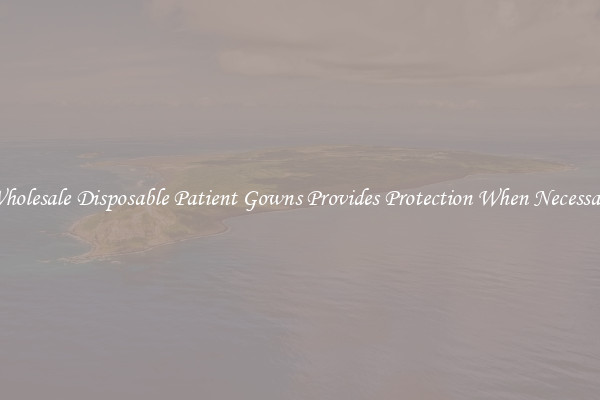 Wholesale Disposable Patient Gowns Provides Protection When Necessary