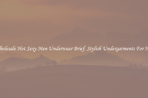 Wholesale Hot Sexy Men Underwear Brief, Stylish Undergarments For Him