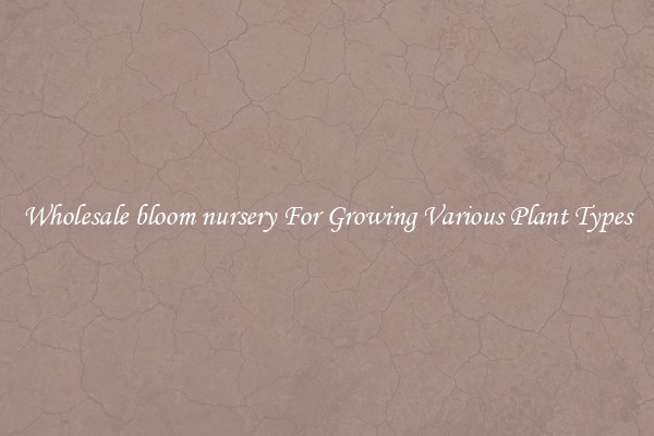 Wholesale bloom nursery For Growing Various Plant Types