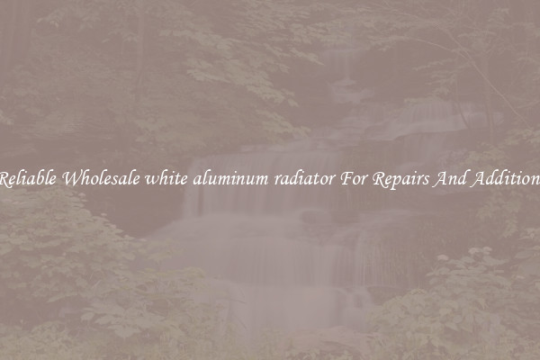 Reliable Wholesale white aluminum radiator For Repairs And Additions