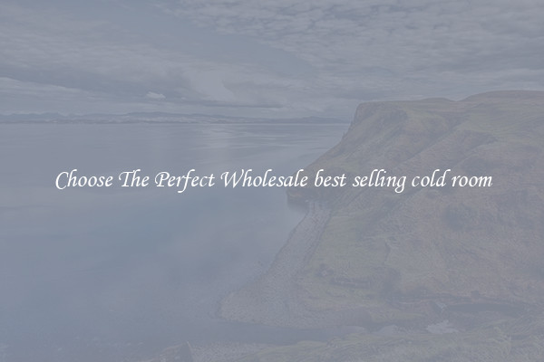 Choose The Perfect Wholesale best selling cold room
