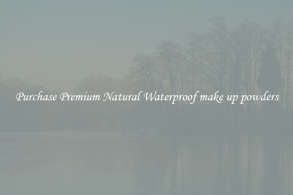 Purchase Premium Natural Waterproof make up powders