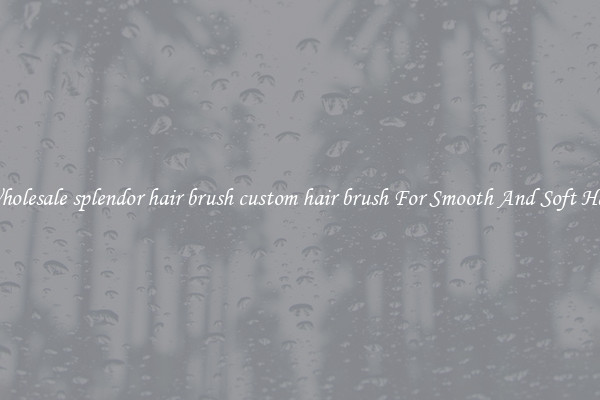 Wholesale splendor hair brush custom hair brush For Smooth And Soft Hair