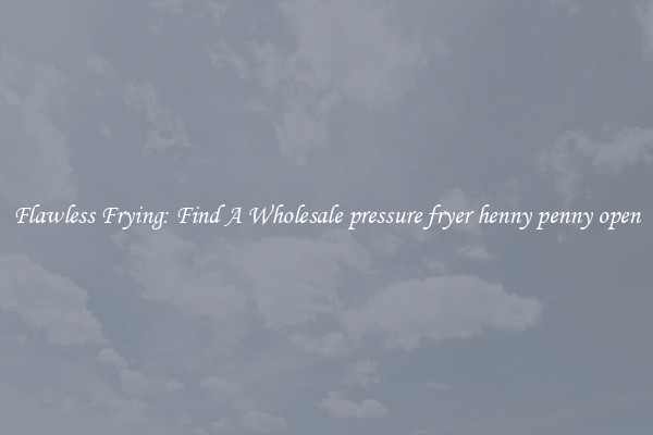 Flawless Frying: Find A Wholesale pressure fryer henny penny open