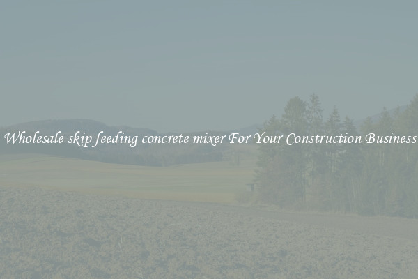 Wholesale skip feeding concrete mixer For Your Construction Business