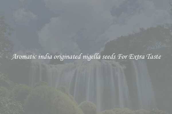 Aromatic india originated nigella seeds For Extra Taste