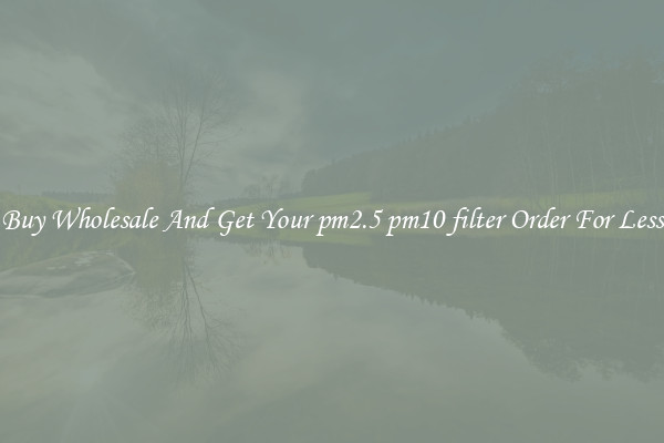 Buy Wholesale And Get Your pm2.5 pm10 filter Order For Less