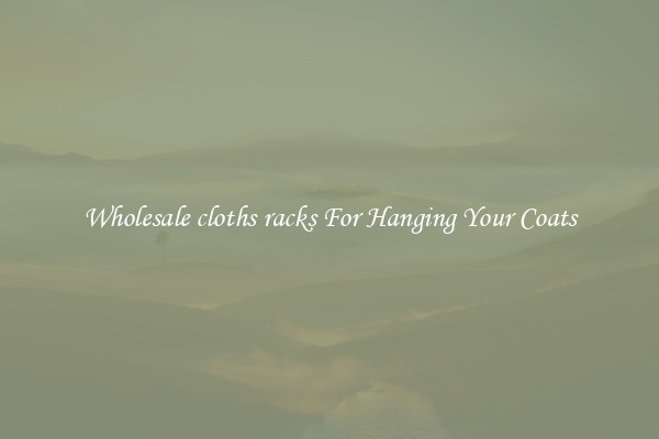 Wholesale cloths racks For Hanging Your Coats