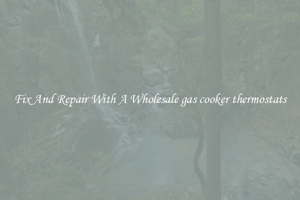 Fix And Repair With A Wholesale gas cooker thermostats
