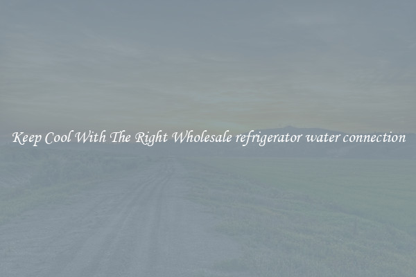 Keep Cool With The Right Wholesale refrigerator water connection
