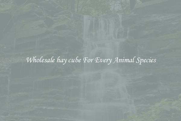 Wholesale hay cube For Every Animal Species