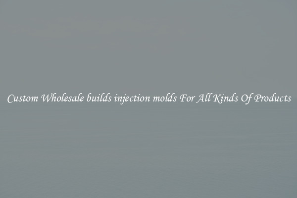 Custom Wholesale builds injection molds For All Kinds Of Products