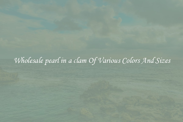 Wholesale pearl in a clam Of Various Colors And Sizes