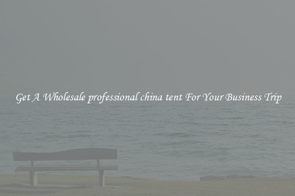 Get A Wholesale professional china tent For Your Business Trip