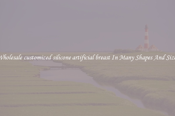 Wholesale customized silicone artificial breast In Many Shapes And Sizes