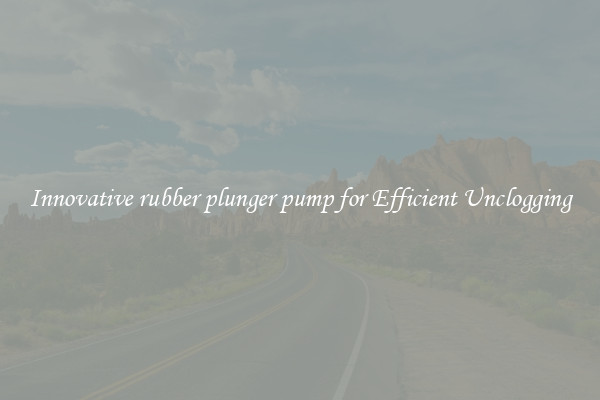 Innovative rubber plunger pump for Efficient Unclogging