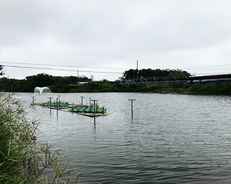 91看片在线网站91看片在线网站沉水式91AV手机看片使用方便噪音小！