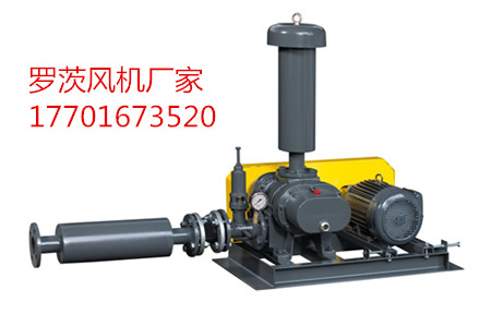 羅茨鼓91AV手机看片參數