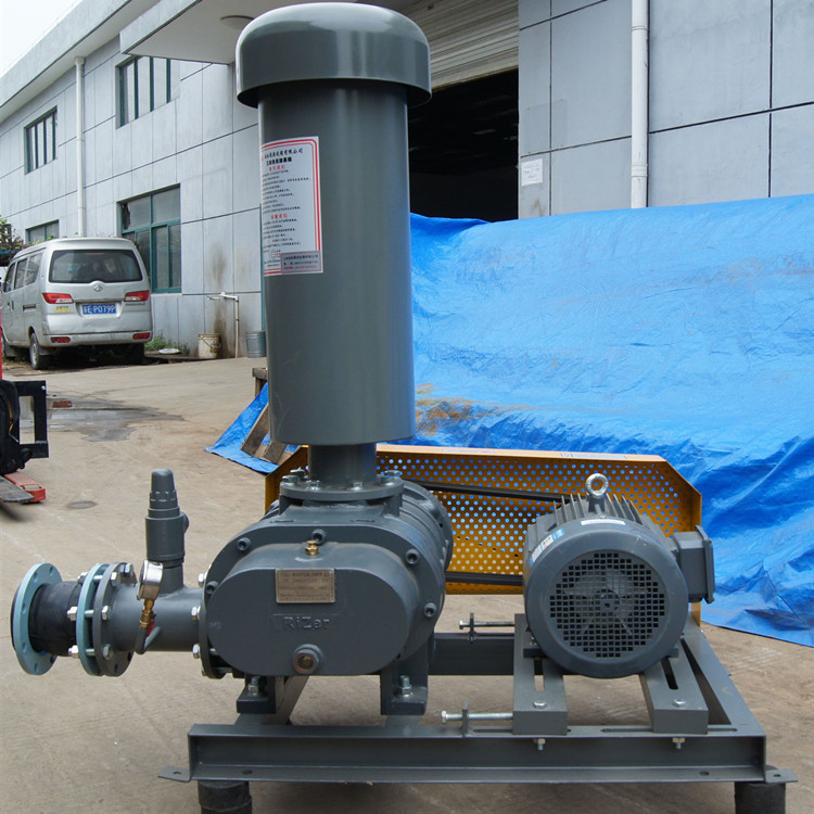 羅茨鼓91AV手机看片 750乘750 圖2