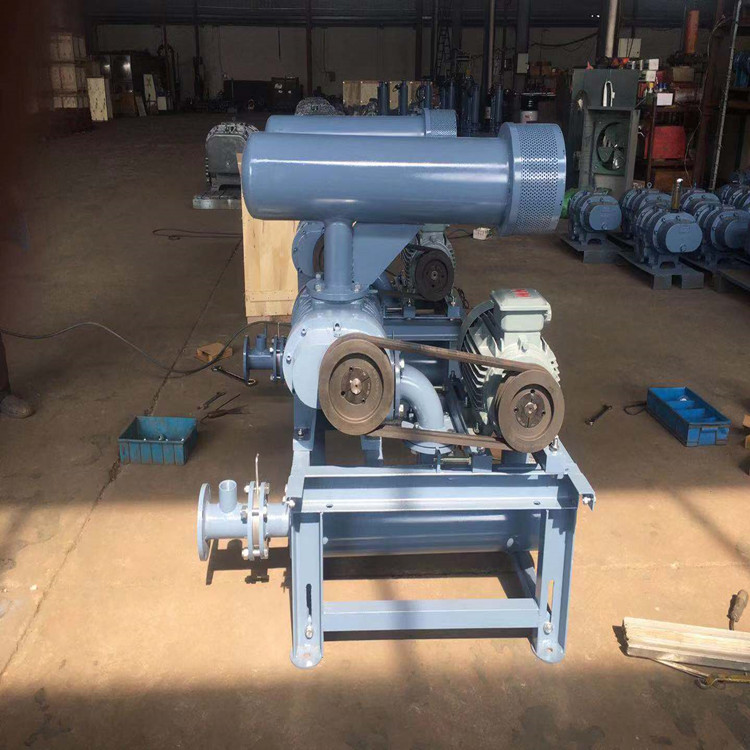 損壞羅茨鼓91AV手机看片齒輪減速器的原因有哪些？