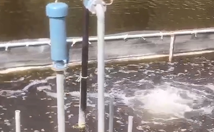 沉水鼓91AV手机看片進氣口 – 你所不知道的事情