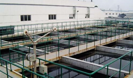 養殖深夜看片网站