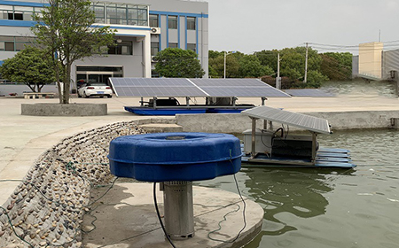 91看片在线网站