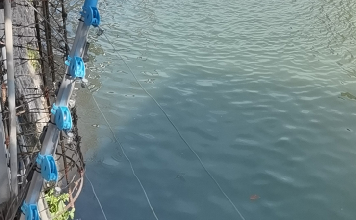 含硫化物廢水對沉水91AV手机看片電機絕緣性能有何影響